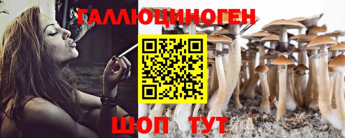 Нефтекамск  Псилоцибиновые грибы Magic Shrooms  Вход с VPN 